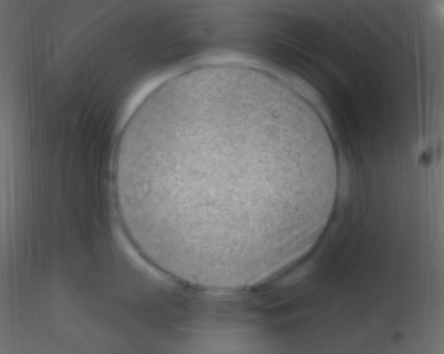 X0000115730863200912241625