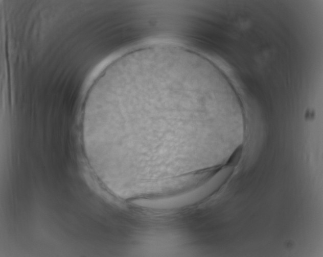 X0000115730864200912241625