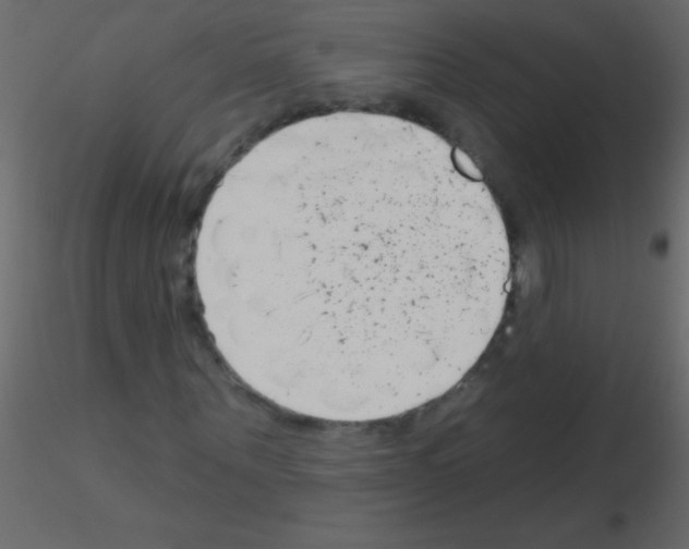 X0000115730867200912241624