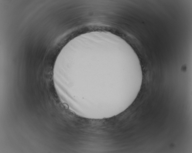 X0000115730870200912241624