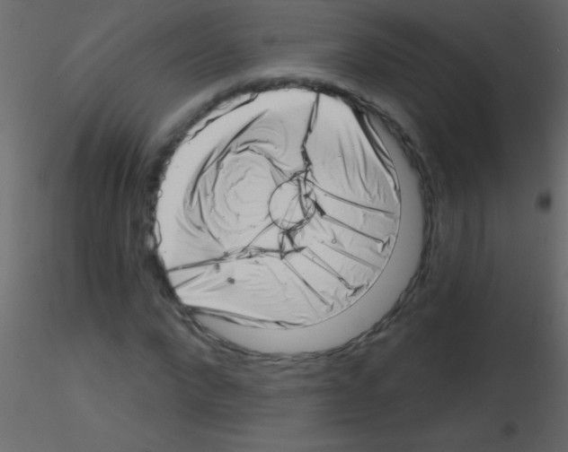 X0000115730872200912241624