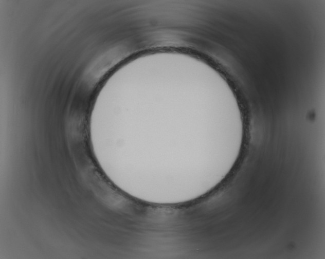 X0000115730873200912241624