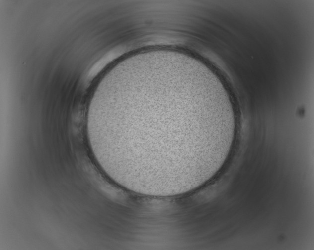 X0000115730874200912241624