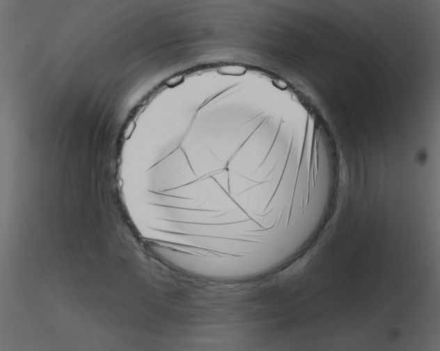 X0000115730877200912241624