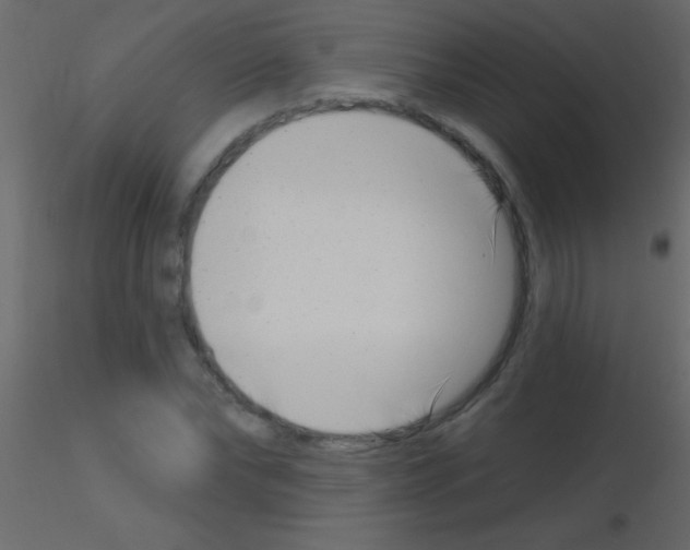 X0000115730878200912241624