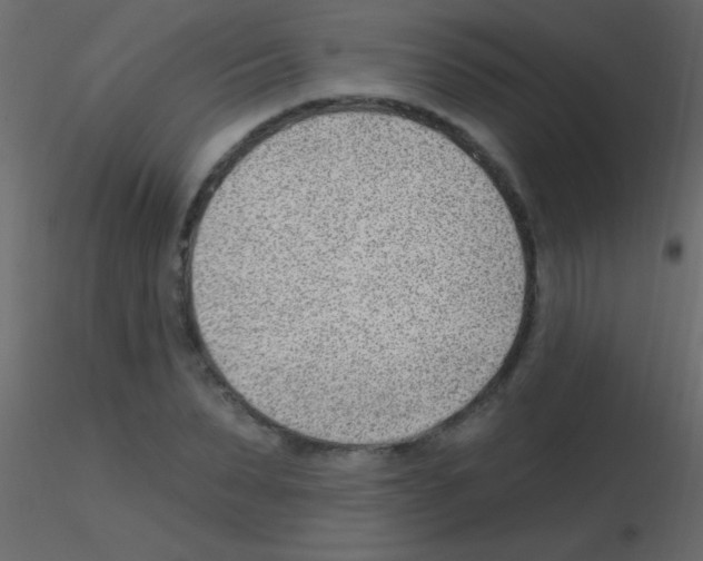 X0000115730879200912241624