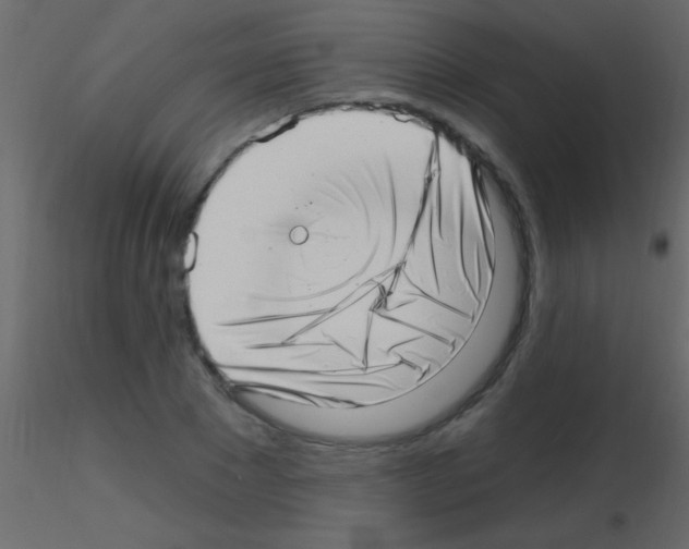 X0000115730881200912241624