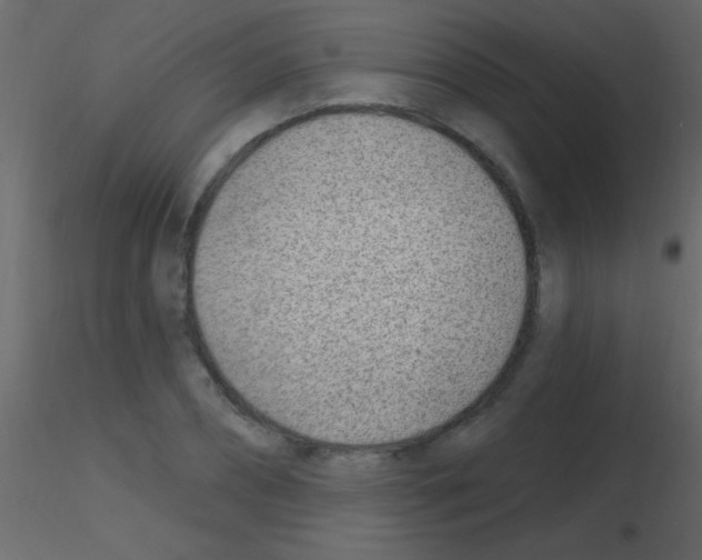 X0000115730882200912241624
