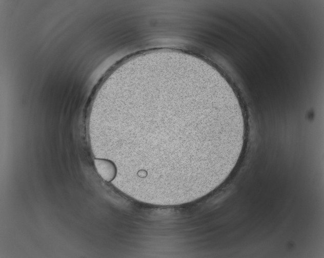 X0000115730883200912241624