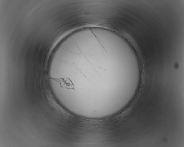 X0000115730884200912241624