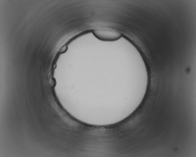 X0000115730885200912241624