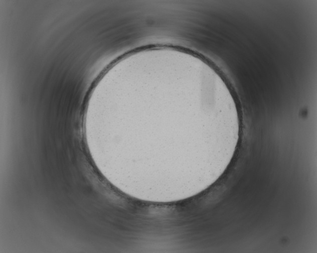 X0000115730887200912241624