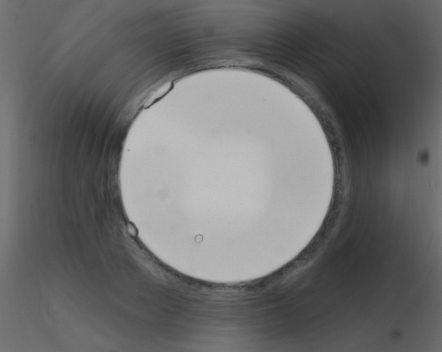 X0000115730889200912241624