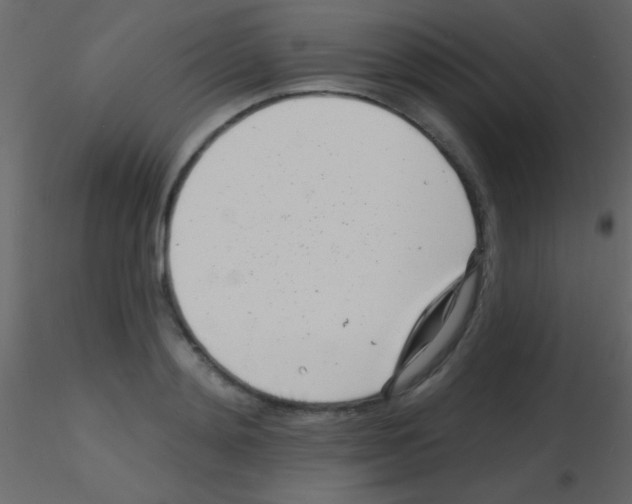 X0000115730892200912241624