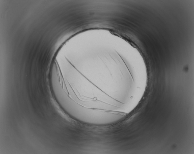X0000115730893200912241624