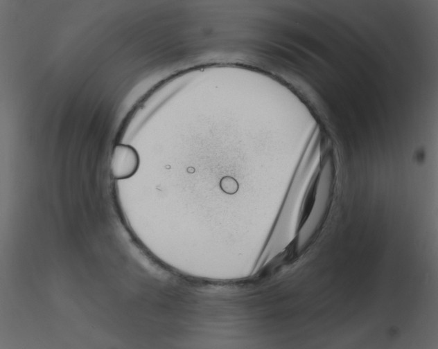X0000115730894200912241624