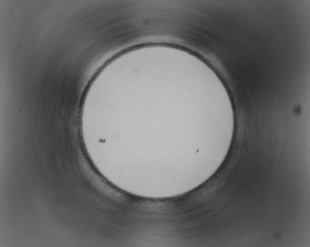 X0000115730895200912241624