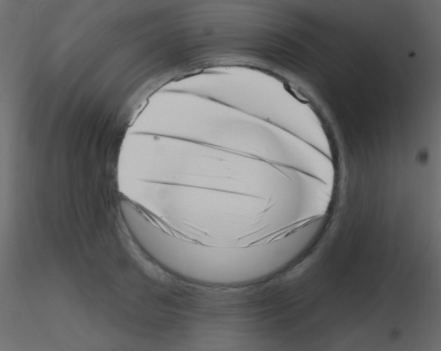 X0000115730897200912241624