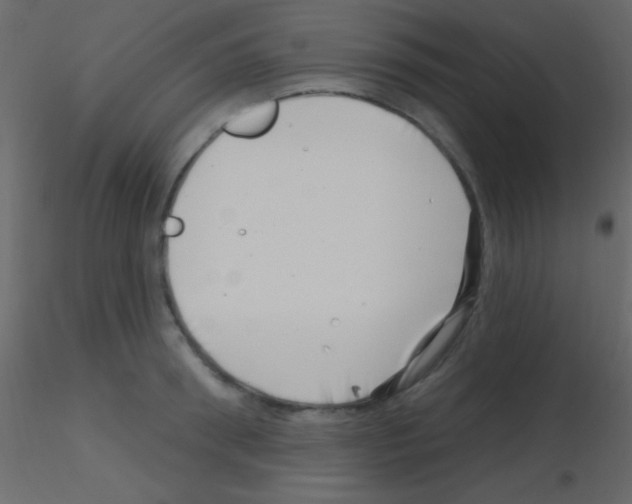 X0000115730898200912241624
