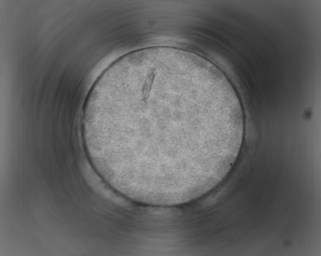X0000115730899200912241624