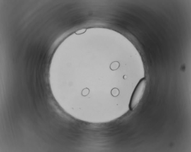 X0000115730904200912241624