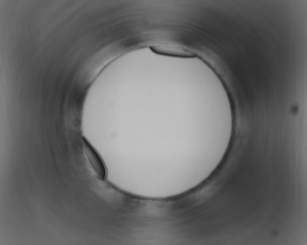 X0000115730905200912241624