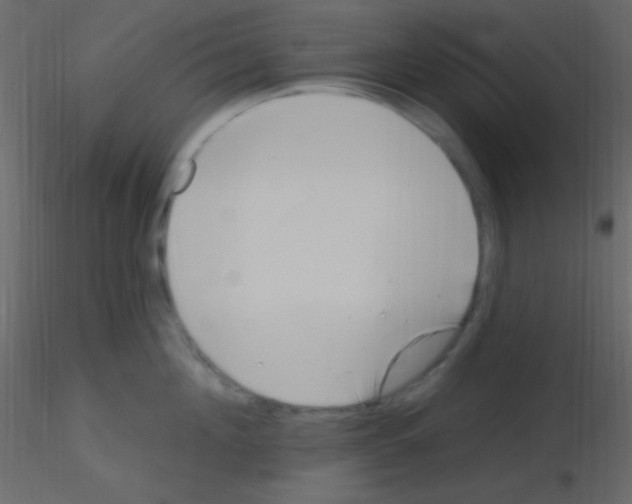 X0000115730908200912241623