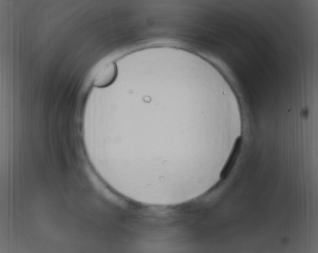 X0000115730910200912241623