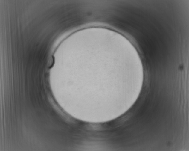 X0000115730911200912241623