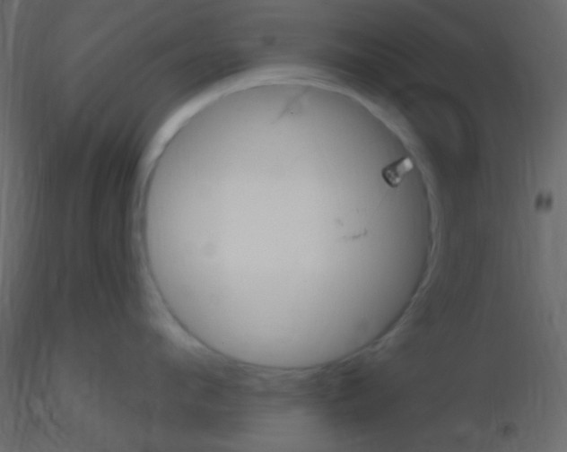 X0000115730912200912241623
