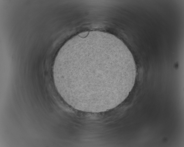 X0000115730913200912241623