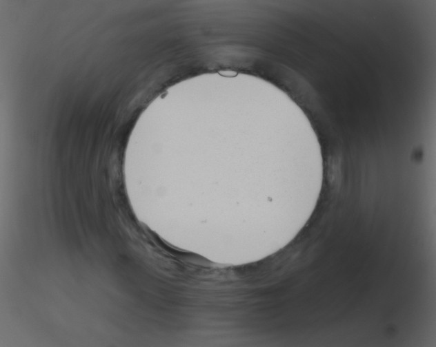 X0000115730915200912241623