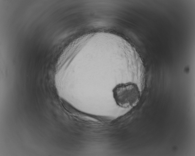 X0000115730917200912241623