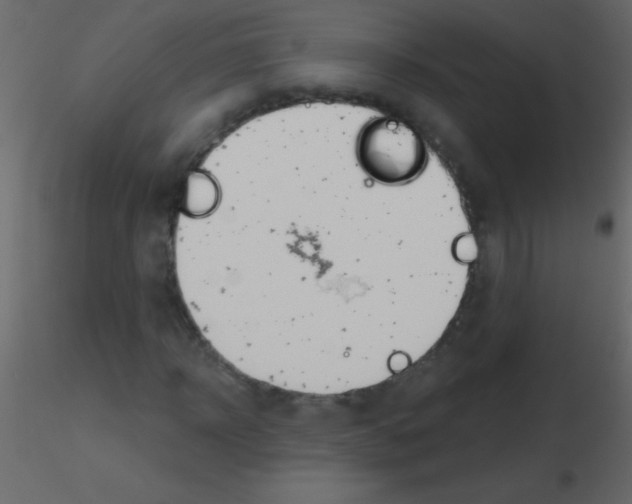 X0000115730918200912241623