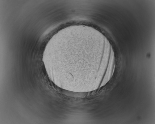 X0000115730919200912241623