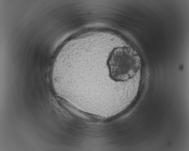 X0000115730921200912241623
