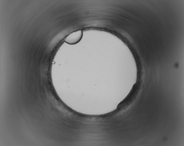 X0000115730922200912241623