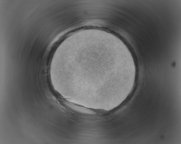 X0000115730923200912241623