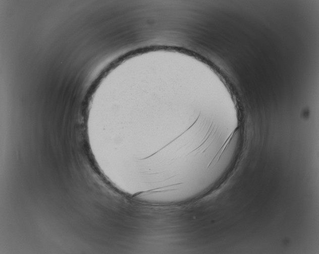 X0000115730926200912241623