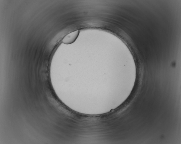 X0000115730930200912241623