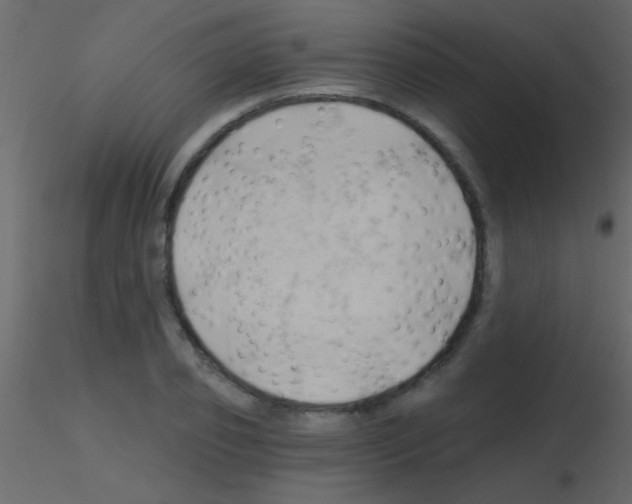X0000115730933200912241623