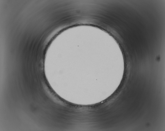 X0000115730934200912241623
