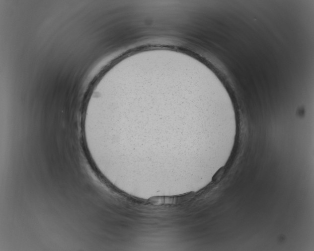 X0000115730935200912241623