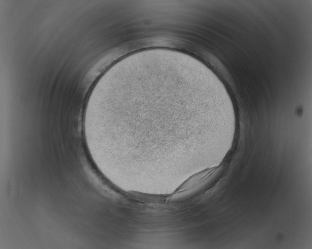 X0000115730938200912241623