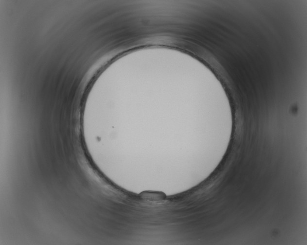 X0000115730939200912241623