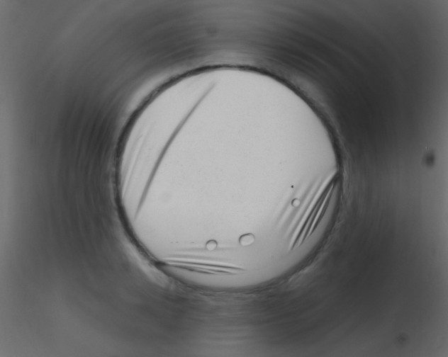 X0000115730942200912241623