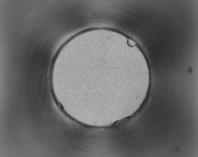 X0000115730943200912241623
