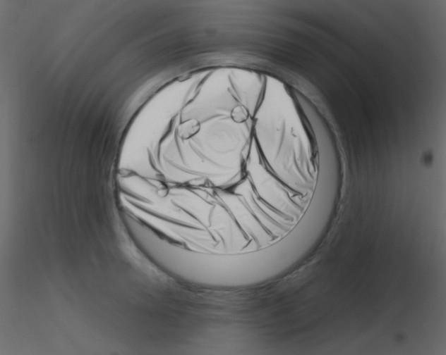 X0000115730946200912241623