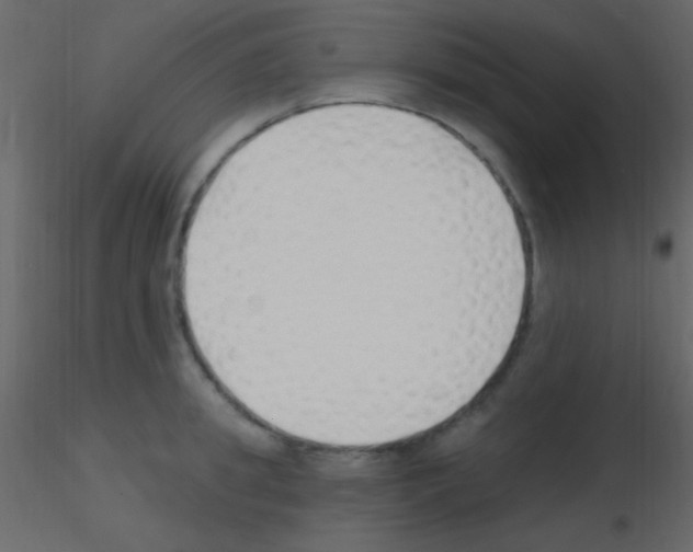 X0000115730949200912241623
