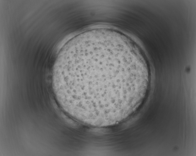 X0000115730953200912241623